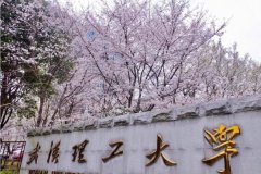 廣東MBA考研調(diào)劑武漢理工大學(xué)有什么條件？