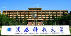 2021年陜西科技大學MBA調劑開網(wǎng)時間