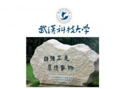 廣東MPA調(diào)劑：武漢科技大學MPA項目介紹